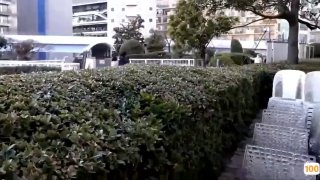 91看免费软件官方版下载-91看免费软件2026最新版v高清在线观看